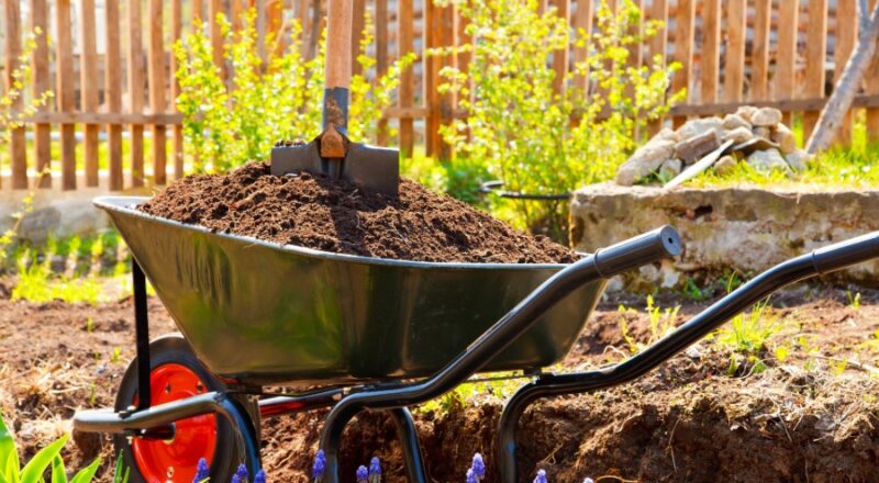 How to Choose the Best Soil for Gardening Success